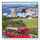 Job-Hunter Programm in Wellington